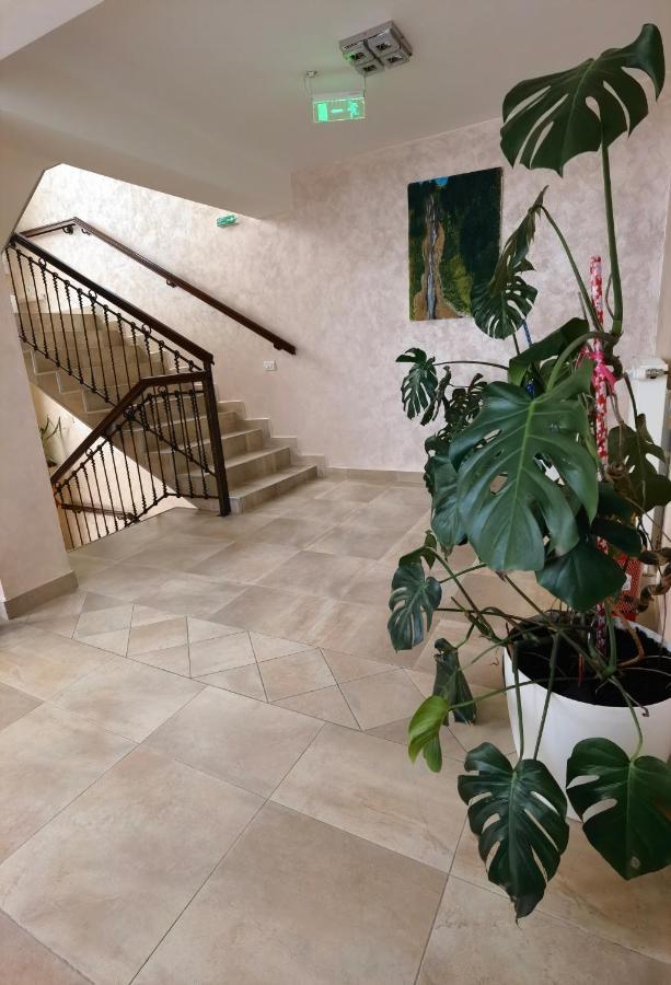 Pensiunea Royal Borşa Exteriér fotografie